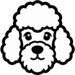Desenho de Poodle
